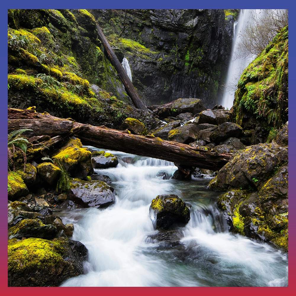 Nature Quotes for Instagram