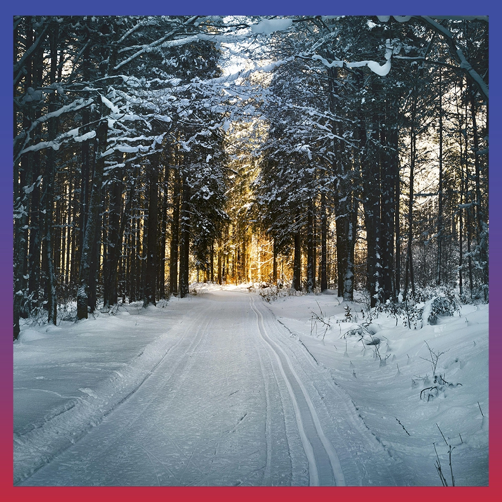 Winter Captions for Instagram 6 Quotes about winter