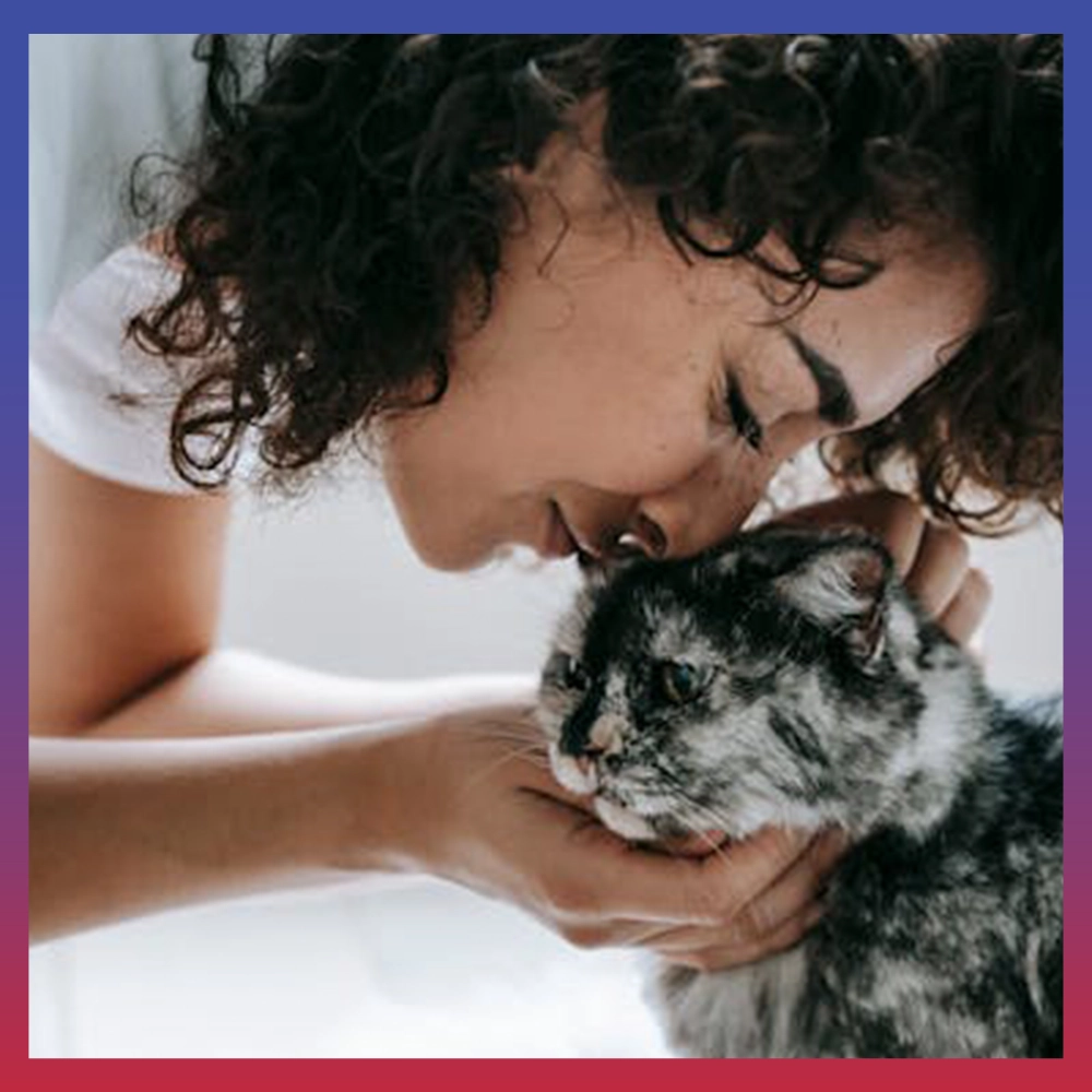 Cute Cat Instagram Captions