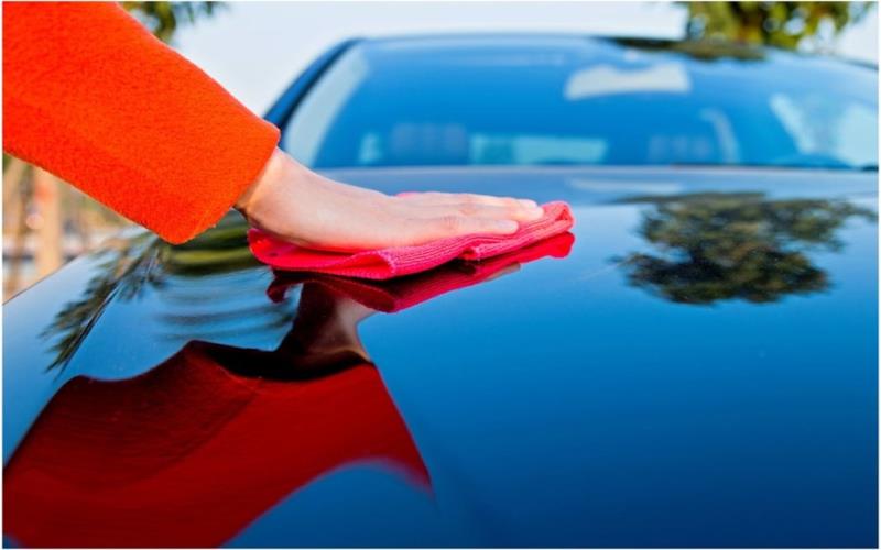 Best Tree Sap Remover For CarHow To Clean The Mess