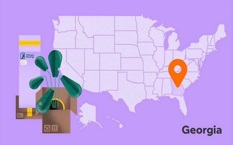 How to Run a Competitive Analysis for Your New LLC in Georgia