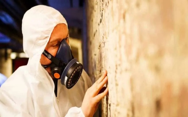 The Truth About Safe Asbestos Disposal You Need to Know
