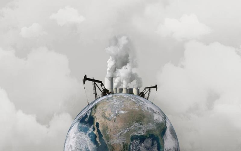 The Phenomenon of Bames Why the World Can’t Get Enough