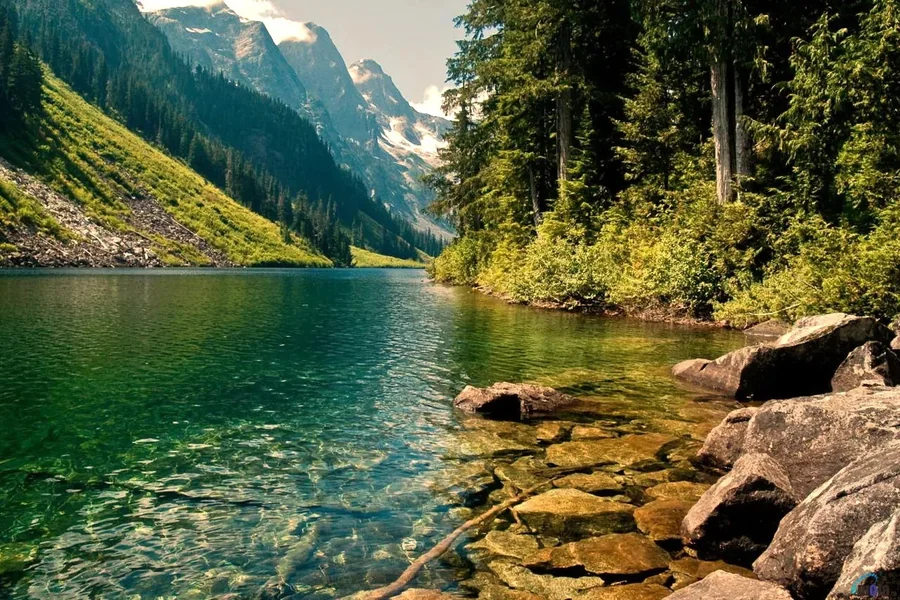 nature real ytr.com