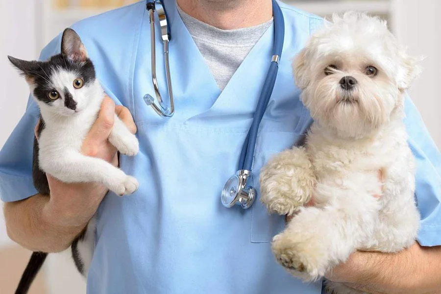 Veterinary Clinics