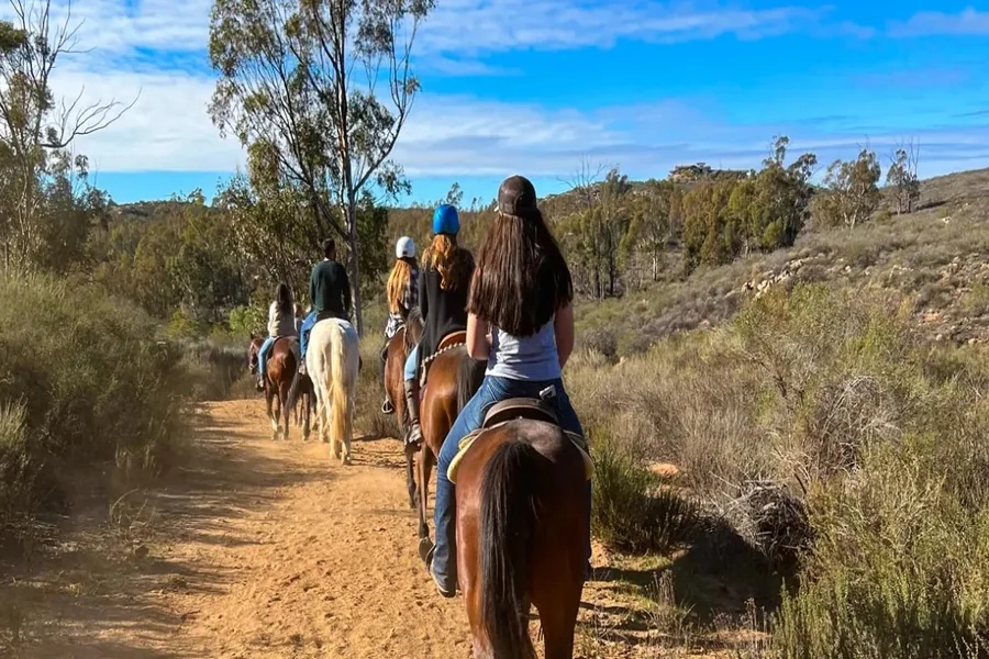 Horse Riding