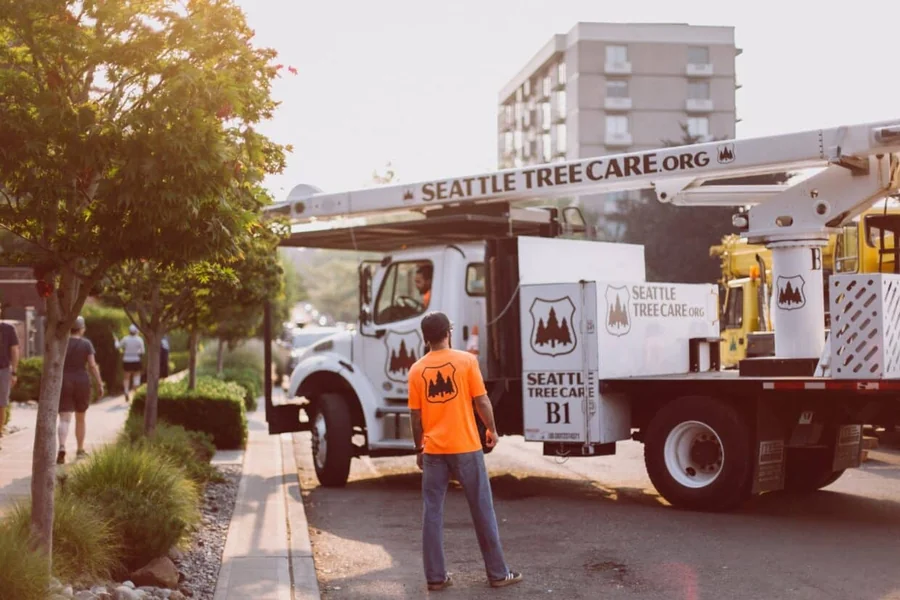 Seattle Tree Care
